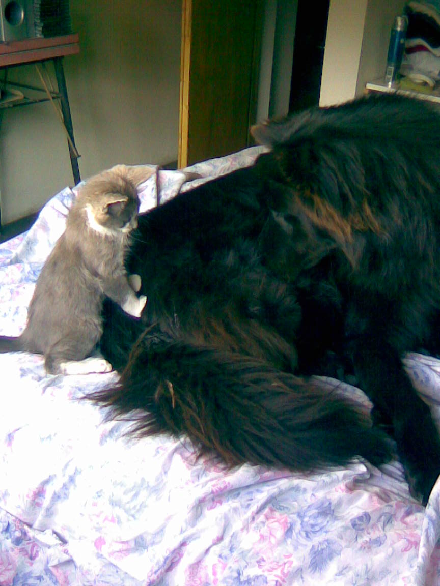 fotos/0000-00-00 - Infancia/Imagen044.jpg